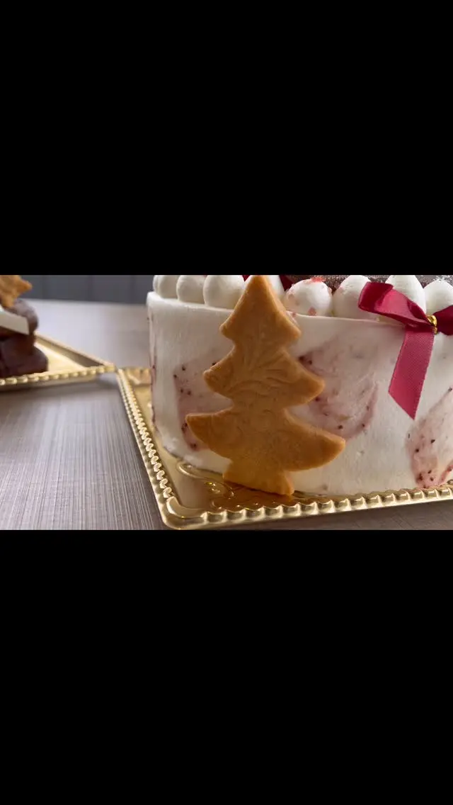 2025  Xmas🎄⛄️🎅