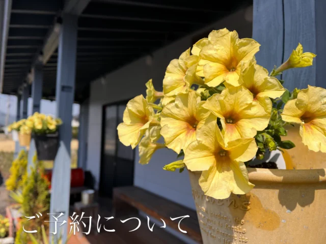 お問い合わせの多い、お席のご予約についてです✨

ご予約可能日は、
⭐️平日のランチタイム１１時〜１５時３０分
（ラストオーダー１５時）
⭐️平日のディナータイム１７時〜２１時３０時
（ラストオーダー２１時）
⭐️土日祝日のディナータイム１７時〜２１時３０分
（ラストオーダー２１時）

は、ご予約が可能です。

※土日祝日のランチタイムは
ご来店順にご案内しております⚠️
予約を受けておりません⚠️

ーーーーーーーーーーーーーー
なお、
土日祝日は通しで営業していますので
１５時〜１７時の間にご来店されても、
お食事を楽しむことが出来ます✨✨
カフェ利用としてもどうぞ。
手づくりケーキあります♡

※平日の１５時３０分〜１７時は1度閉めています⚠️

是非思い思いに、素敵な時をお過ごしくださいませ。

よろしくお願いいたします✨

#席の予約
#予約
#佐賀
#小城