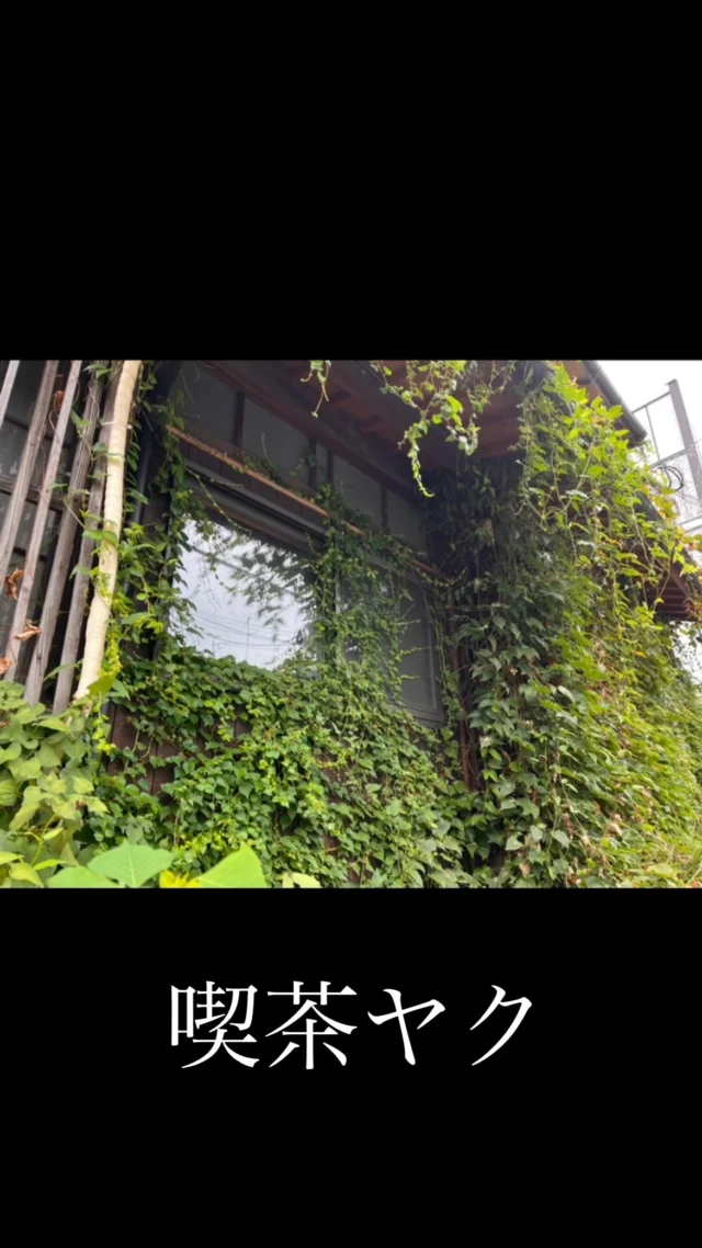 喫茶ヤクさん✨✨

今回コラボさせていただきました、
喫茶ヤクのマスターと、素敵な店舗✨✨

佐賀県佐賀市天神にあります！
是非皆様も行かれてみてください。

ノスタルジックな雰囲気と、
一風変わったスパイスカレー✨🍛🫚

最高です🥰

#喫茶ヤク